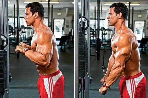 How to Master the Triceps Pushdown: Step by Step Guide