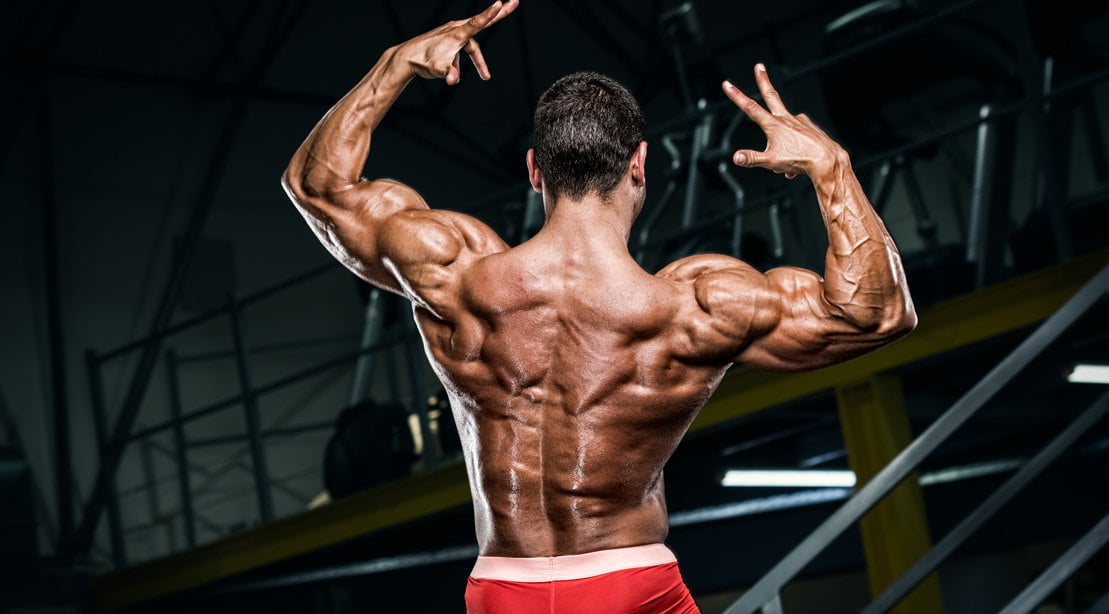 8 Best Exercises for Back Muscles to make V-shape Back-Complete instructions