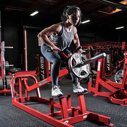 Getting the Most from T-Bar Rows: A Comprehensive Guide