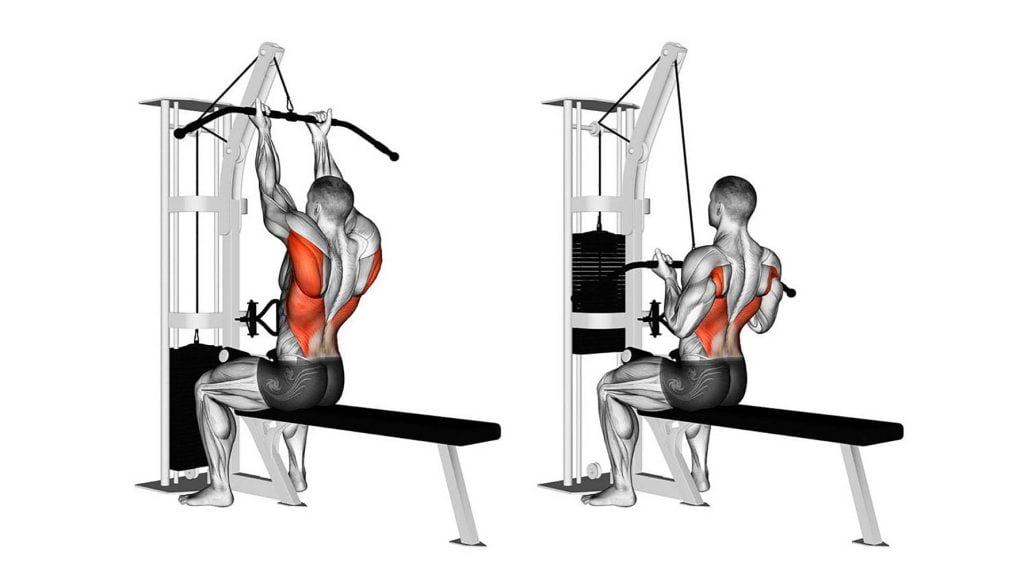 reverse-grip-lat-pulldown-muscles-worked