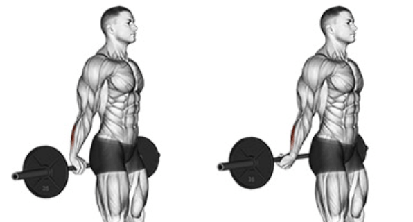 behind the back barbell wrist curl