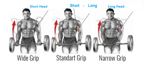 Close Grip Barbell Bicep Curl: A Video Guide to Perfect Execution