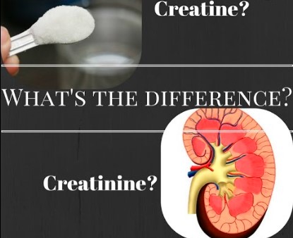 What is the difference between Creatinine and Creatine